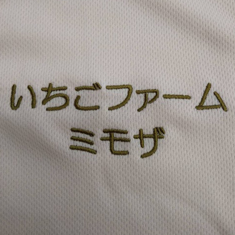 ポロシャツ 【ネーム刺繍：丸ゴシック体】 左胸・1文字1.5cm