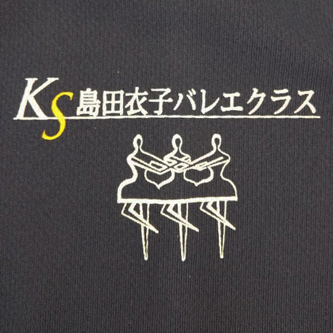 Ｔシャツ 【シルクプリント】 左胸・縦5cm×横9cm程度