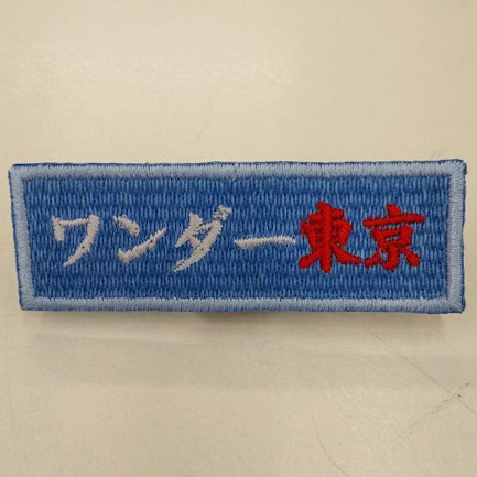 ワッペン単体 【刺繍ワッペン】 縦2cm×横6cm程度