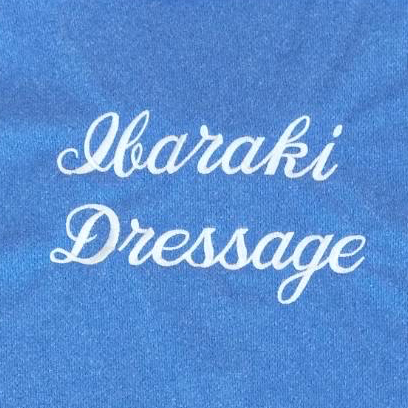 ポロシャツ 【ネーム刺繍：筆記体】 背面上部・1文字3cm