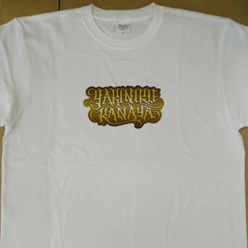 Ｔシャツ 【DTF転写プリント】 胸中央・縦10cm×横19cm程度