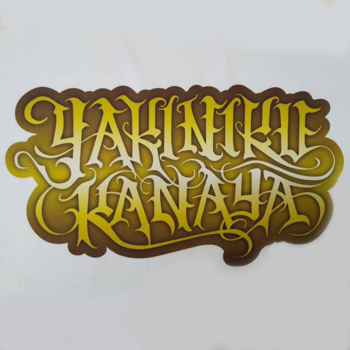Ｔシャツ 【DTF転写プリント】 胸中央・縦10cm×横19cm程度