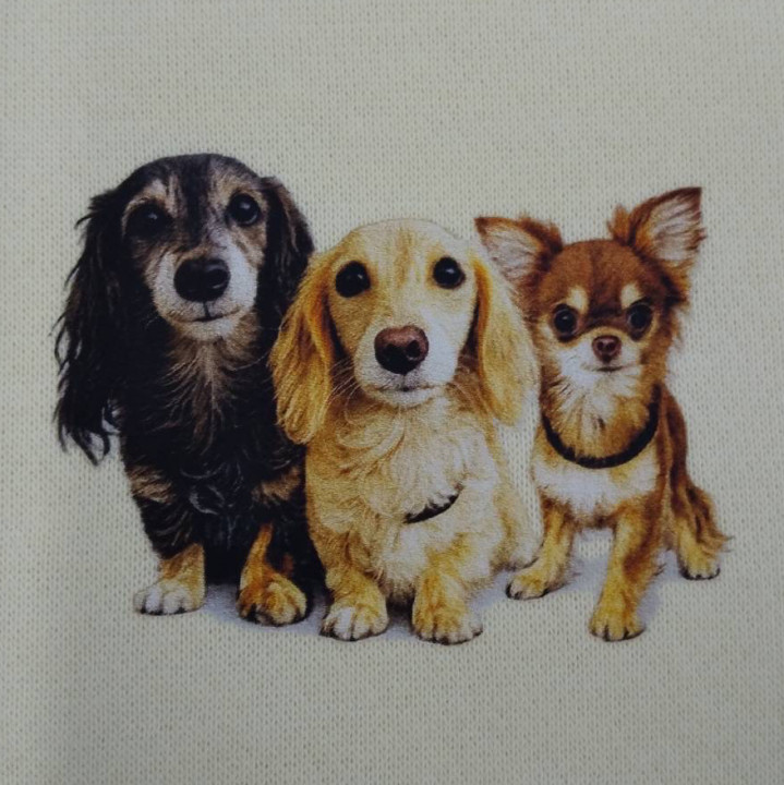 スウェット 【転写DTFプリント】 左胸・縦5cm×横7cm程度