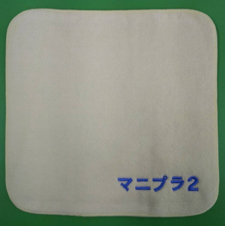 タオルハンカチ 【ネーム刺繍：角ゴシック体】 右下・1文字1.5cm