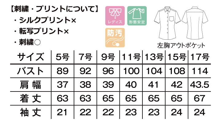 レディスレギュラーカラー半袖ブラウス