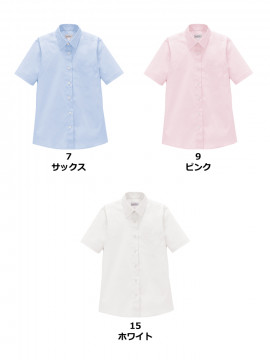 レディスレギュラーカラー半袖ブラウス